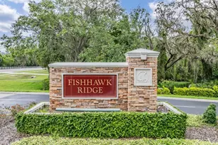 5886 Fishhawk Ridge Dr, Lithia, FL 33547 - Photo 3