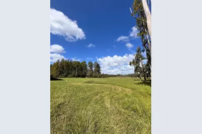 1029 Van Dyke Road, Lutz, FL 33548 - Photo 1