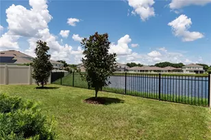 16619 Mooner Plank Cir, Wimauma, FL 33598 - Photo 53