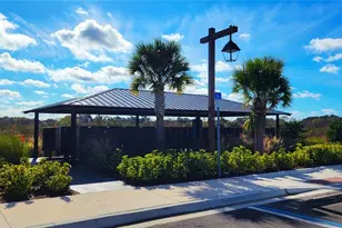 3525 Marigold Patch Ct, Plant City, FL 33565 - Photo 31