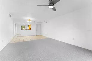 219 Cypress Ct, Oldsmar, FL 34677 - Photo 13