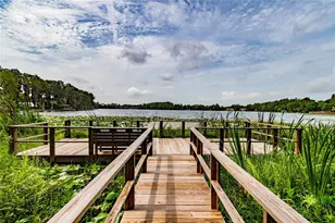 13022 Arborview Pl, Tampa, FL 33618 - Photo 25