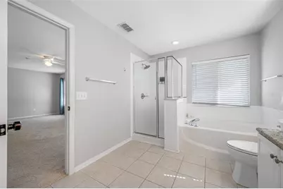 27021 Cotton Key Lane, Wesley Chapel, FL 33544 - Photo 67