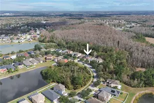 9446 Leatherwood Ave, Tampa, FL 33647 - Photo 43