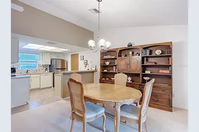 28632 Tanner Drive, Wesley Chapel, FL 33543 - Photo 7