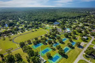 23209 Blue Ridge Pl, Land O Lakes, FL 34639 - Photo 49