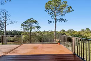 1059 S Pointe Alexis Dr, Tarpon Springs, FL 34689 - Photo 31