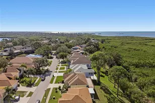 1059 S Pointe Alexis Dr, Tarpon Springs, FL 34689 - Photo 59