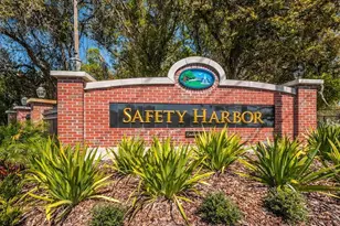 929 Woodbridge Ct, Safety Harbor, FL 34695 - Photo 39