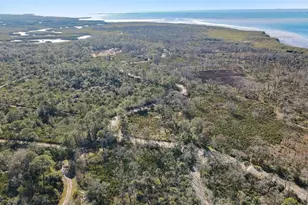 12353 Bayou Flats Ln, Tampa, FL 33635 - Photo 35