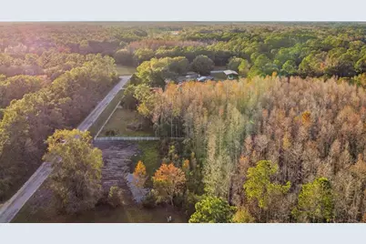 26305 Bluestripe Drive, Wesley Chapel, FL 33544 - Photo 13
