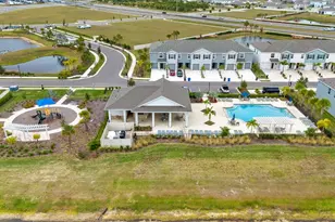 136 Mangrove Shade Cir, Apollo Beach, FL 33572 - Photo 45