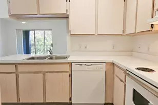 13235 Sanctuary Cove Dr, Temple Terrace, FL 33637 - Photo 11