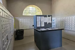 13235 Sanctuary Cove Dr, Temple Terrace, FL 33637 - Photo 31