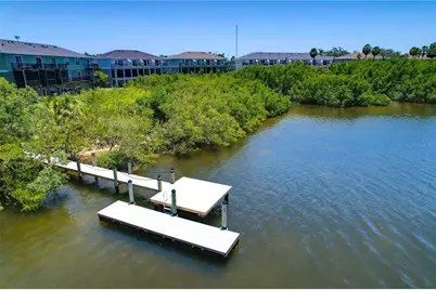 842 Tennyson Mill Circle, Tampa, FL 33619 - Photo 39