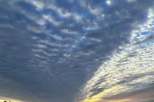 842 Tennyson Mill Cir, Tampa, FL 33619 - Photo 19