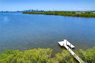 842 Tennyson Mill Cir, Tampa, FL 33619 - Photo 31