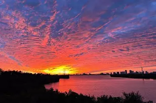 842 Tennyson Mill Cir, Tampa, FL 33619 - Photo 7