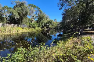 14547 Sassandra Dr, Odessa, FL 33556 - Photo 17