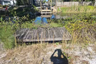 14547 Sassandra Dr, Odessa, FL 33556 - Photo 21