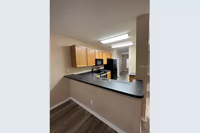 5882 Fishhawk Ridge Drive #0, Lithia, FL 33547 - Photo 11