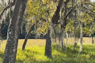 10604 Millriver Dr, New Port Richey, FL 34654 - Photo 27