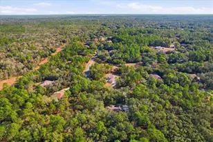 4421 N Little Dove Terrace, Hernando, FL 34442 - Photo 49