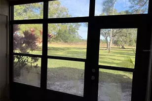 229 Mary Dr, Oldsmar, FL 34677 - Photo 25