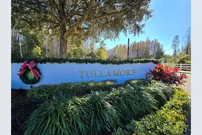 1045 Blackwater Drive, Wesley Chapel, FL 33543 - Photo 45