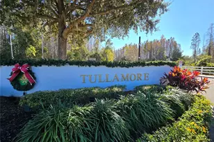 1045 Blackwater Dr, Wesley Chapel, FL 33543 - Photo 45