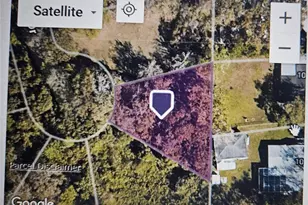 Pevetty, Plant City, FL 33563 - Photo 11