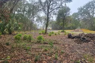 Pevetty, Plant City, FL 33563 - Photo 3