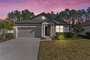 20009 Hidden Gln Dr, Land O Lakes, FL 34638 - Photo 1