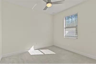 20009 Hidden Glen Drive, Land O Lakes, FL 34638 - Photo 13