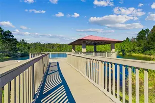 20009 Hidden Gln Dr, Land O Lakes, FL 34638 - Photo 67