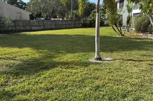 391 S McMullen Booth Rd, Clearwater, FL 33759 - Photo 5