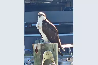 [Address not provided], Madeira Beach, FL 33708 - Photo 33