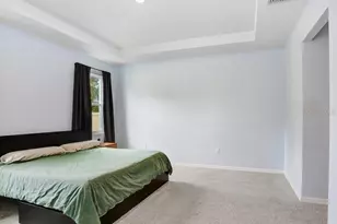 16619 Goose Ribbon Pl, Wimauma, FL 33598 - Photo 15