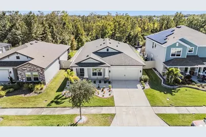 30747 Parrot Reef Court, Wesley Chapel, FL 33545 - Photo 3