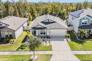 30747 Parrot Reef Ct, Wesley Chapel, FL 33545 - Photo 3