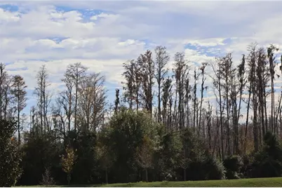 16310 Bird Of Paradise Avenue, Clermont, FL 34714 - Photo 31