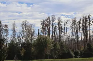 16310 Bird of Paradise Ave, Clermont, FL 34714 - Photo 31