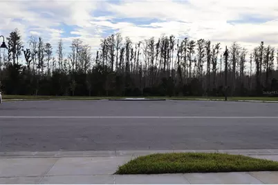 16310 Bird Of Paradise Avenue, Clermont, FL 34714 - Photo 21