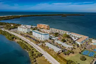 9 Haig Pl, Dunedin, FL 34698 - Photo 55