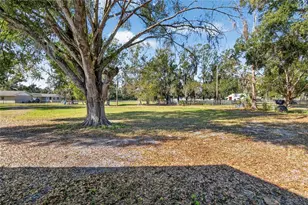 902 Charlie Griffin Rd, Plant City, FL 33566 - Photo 65