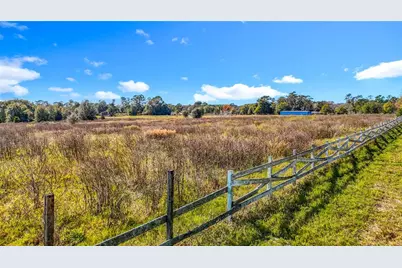 22380 Powell Road, Brooksville, FL 34602 - Photo 5