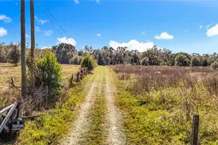 22380 Powell Rd, Brooksville, FL 34602 - Photo 9