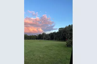 11956 Neal Road, Lithia, FL 33547 - Photo 15