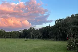 11956 Neal Rd, Lithia, FL 33547 - Photo 15