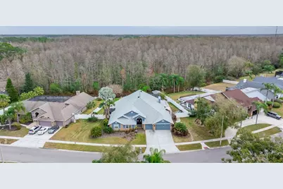 6416 Thoroughbred Loop, Odessa, FL 33556 - Photo 55